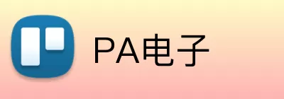 PA电子 logo